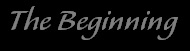 The Beginning